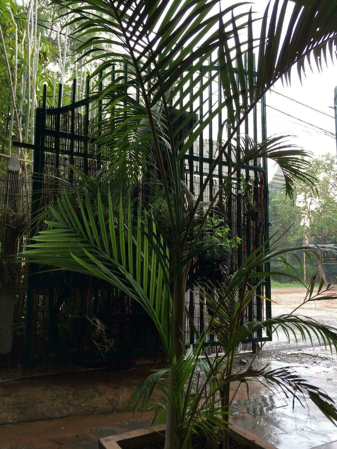 Eco-Home Siem Reap Homestay Extérieur photo